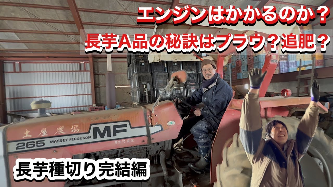 【長芋】種切り完結編！長芋A品はプラウで決まる？追肥か？！