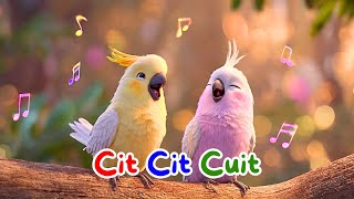 Cit Cit Cuit | Lagu Anak Indonesia Populer | Lagu Animasi Edukasi Anak