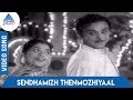 Maalaiyitta Mangai Tamil Movie Songs | Sendhamizh Thenmozhiyaal Video Song | TR Mahalingam | MSV TKR