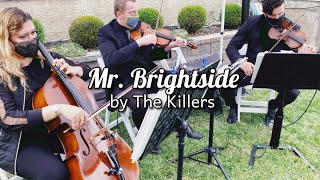 Mr. Brightside - String Trio Cover - The Killers - Violin, Cello