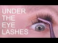 HOW TO APPLY UNDER EYE LASHES!