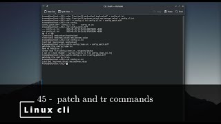 Linux CLI 45 π§patch and tr commands