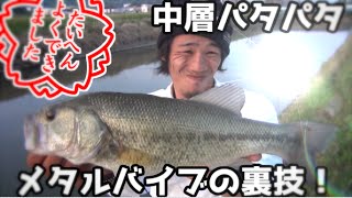 バス釣り　琵琶湖でも効く！？中層パタパタで40up！