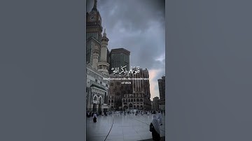 الذين آمنوا وتطمئن قلوبهم بذكر الله  |  من القارئ عبدالرحمن مسعد | راحة نفسية #اكسبلور