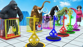 Guess The Right Key Challenge With Gorilla Cow Tiger Mammoth Elephant Animal Crossing Fountain