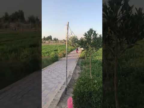 مطعم المزرعه بالاحساء