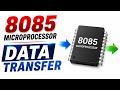8085 Microprocessor | Data Transfer #microprocessor #8085 #8086 