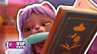 👩‍🎨 Лучшие Новые Образы 👩‍🎨 Вип Петс 🌈 Vip Pets 🌈 Полные Эпизоды 🤩 Мультики На Русском Языке 💇