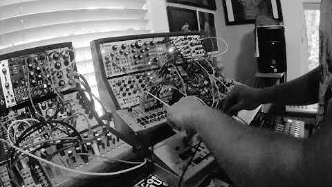 live jam with tb-03, tr8s, and eurorack - tidal shave