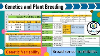 Genetic Variability Analysis using Excel Net Worth