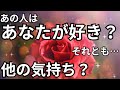 あの人はあなたが好き？それとも別の感情？鳥肌もん🫨🩷恋愛タロット占い ルノルマン オラクルカード 個人鑑定級に深掘り 細密リーディング