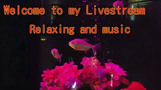 Hello everyone🎶 Welcome to my Livestream💖 Relaxation Video and music🎶