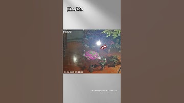 Chủ nhà có khoảng sân bất ổn nhưng được cộng đồng mạng khai sáng...