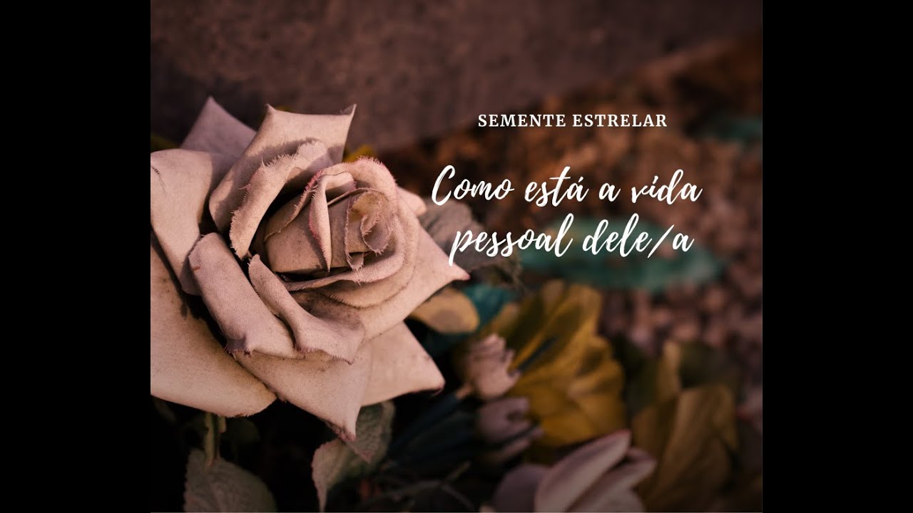 🔮COMO ESTÁ A VIDA PESSOAL DELE/A?| Tarot Responde 🌻