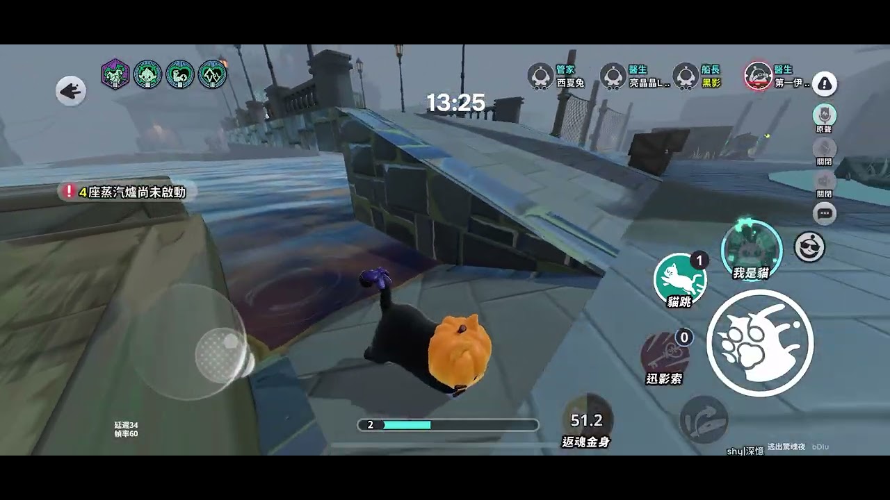 影爪梵蒂婭實戰