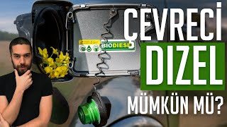 Yenilenebilir Çevreci Dizel | Biodiesel Nedir?