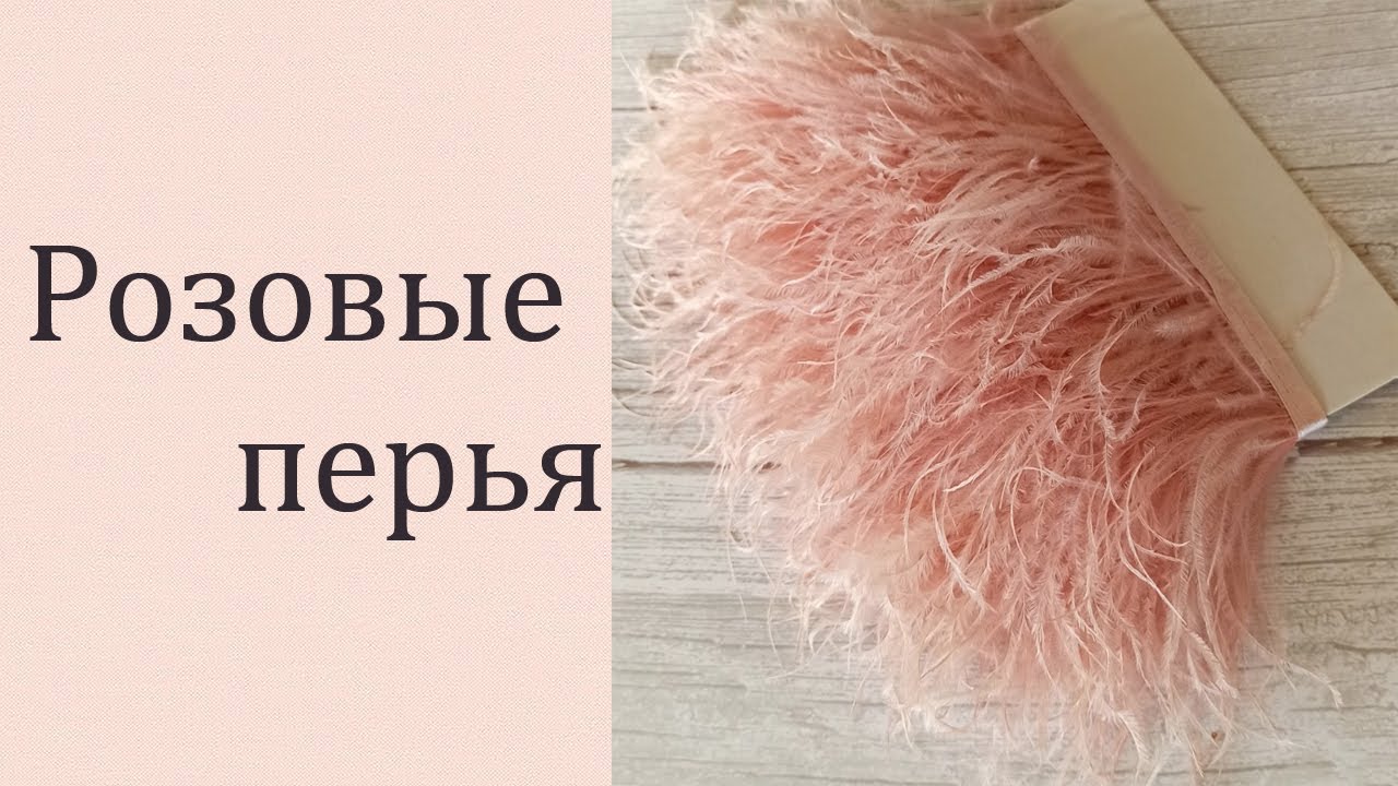 Розовые перья. Перья страуса