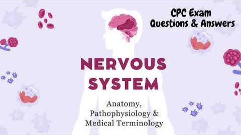 CPC Exam Prep 2023👩‍⚕️- NERVOUS SYSTEM - Anatomy & Physiology Practice Questions & Answers- Part 1