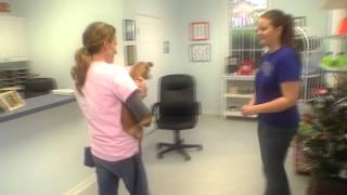 Haile Plantation Animal Clinic Guided Tour