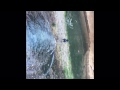 Puppy Water Cheat - almost 6 months old