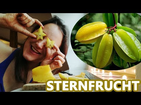 STERNFRUCHT (Karambole): DIE Frucht für alle FESTE