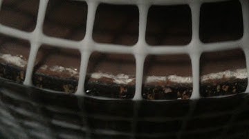 Plastic Square Mesh or Mosquito Mesh Production Line