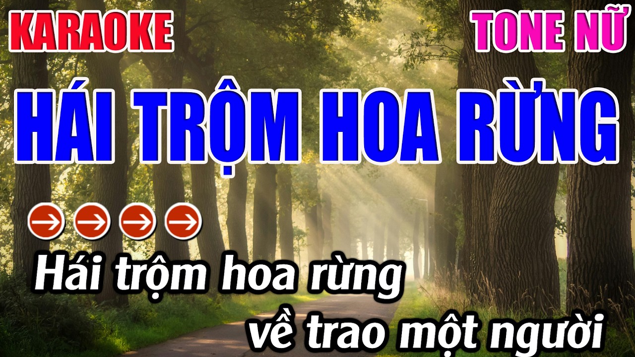 Hái Trộm Hoa Rừng Karaoke Tone Nữ ( Bm ) Karaoke 9999 - Beat Mới