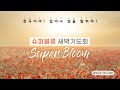 10/31 오중사역 1 사도사역 - 초자연적인 문화 만들기 - 정희택 목사