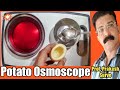 CLASS-12 / Potato Osmoscope (Practical-1) Everyone can do at home - By Prof.Prakash Surve(Moderator)