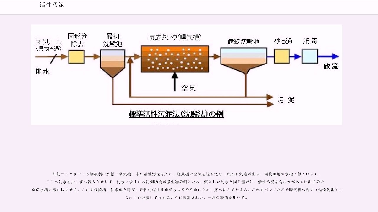 活性汚泥 - YouTube