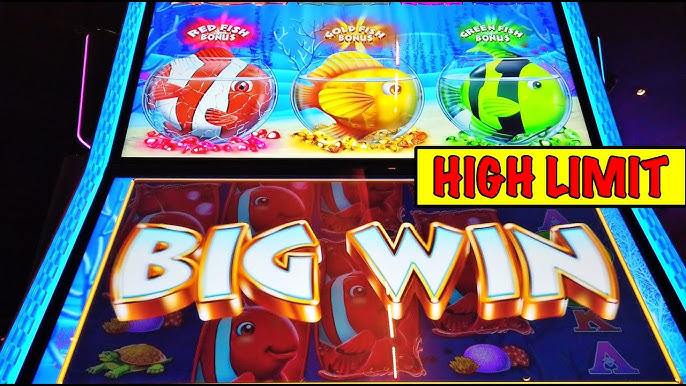 Gold Fish Feeding Time Treasure: Three Accumulator Model Meets Classic  Theme – Know Your Slots