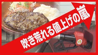 吹き荒れる値上げの嵐　経済再起動で家計にブレーキ？