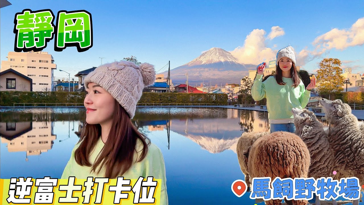 【日本靜岡】 遺產中心🗻影到逆富士？｜馬飼野牧場🐑｜交通🚎懶人包｜靜岡人氣🥇茶漬飯｜富士山📸行程｜#日本 #靜岡 #富士山