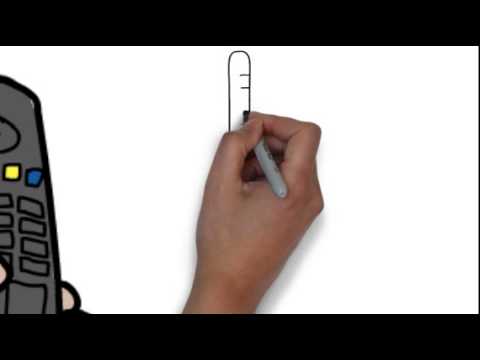AQA B1.2.2 Control in the human body