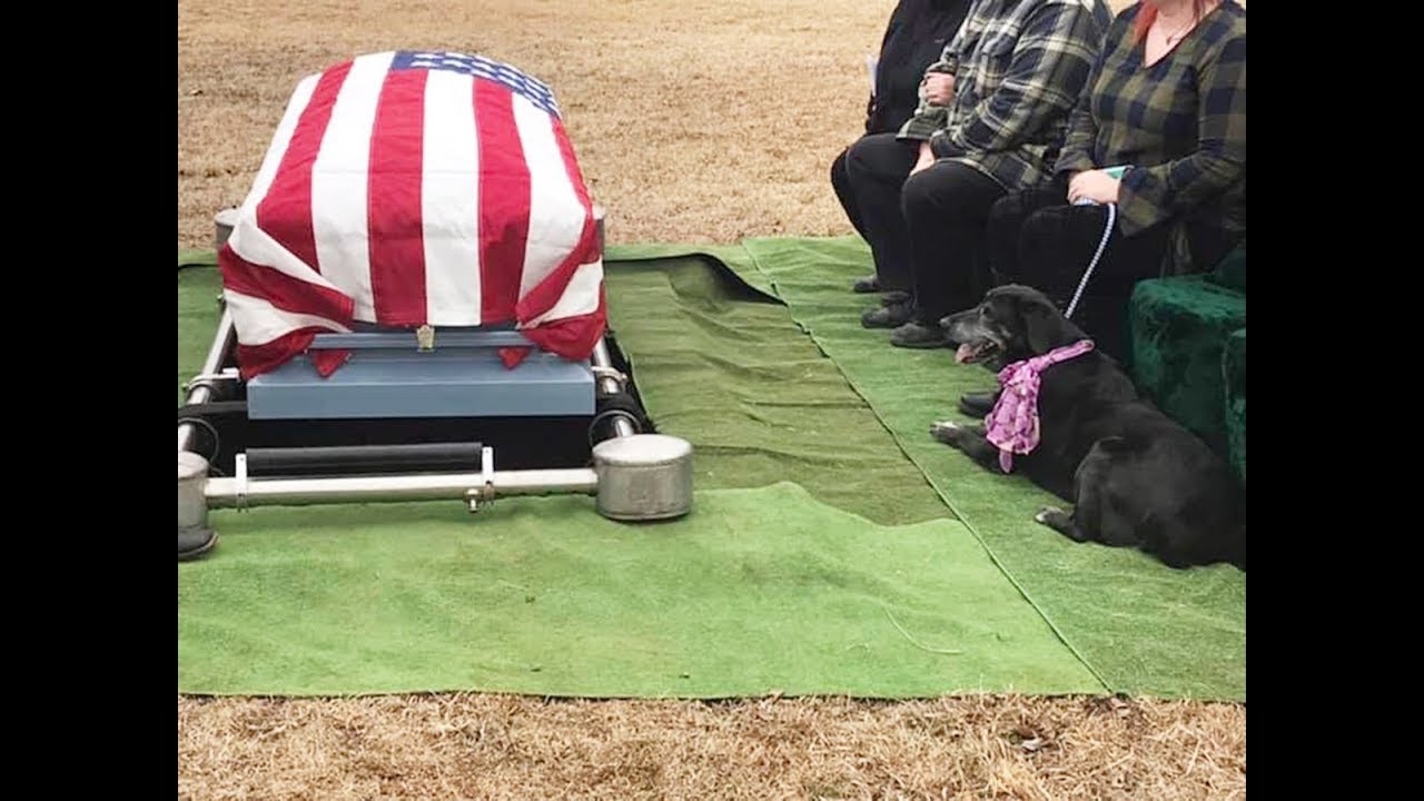 Loyal Senior Dog Found By Dead Owner's Side Attends Owner's Funeral for