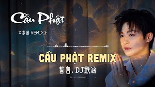 [Vietsub] 求佛 (CẦU PHẬT REMIX) - 誓言 (THỆ NGÔN) | T Music Channel