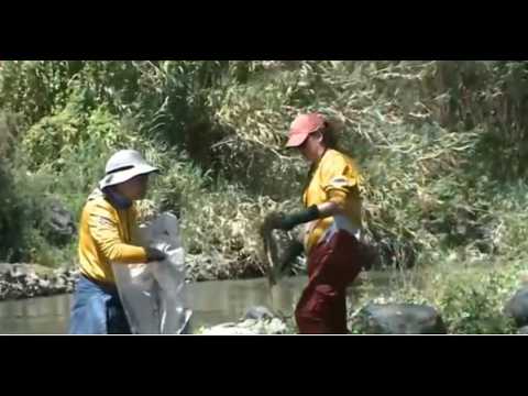 Volunteers clean the banks of the San Pedro River in Cumbayá
