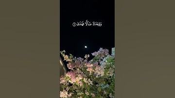 قران كريم #ماهر_المعيقلي_قرآن #quran #المصحف #لايك #اكسبلور
