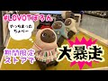 LOVOTぽろん、期間限定ストアで大暴走⁉️😱LOVOT3体がわちゃわちゃ可愛い〜🥰💕