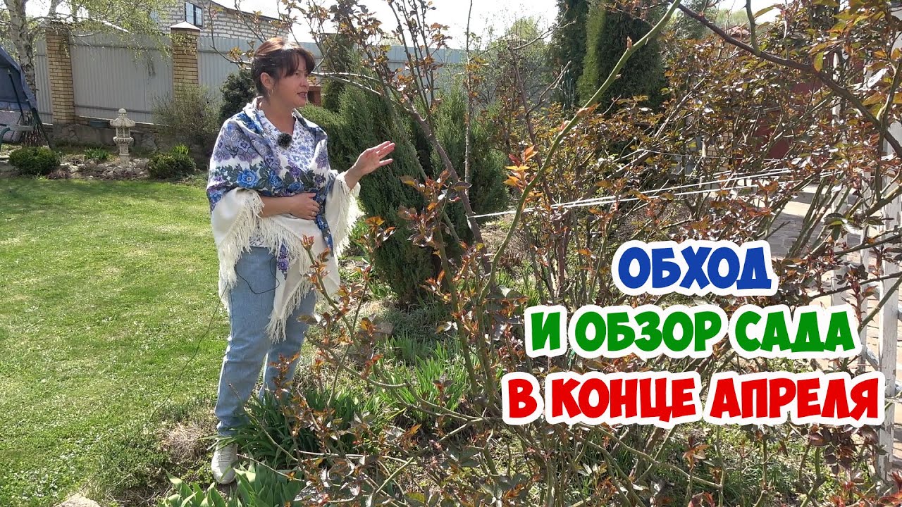 Уход за садом в конце АПРЕЛЯ. Новости, дела, обработки. Как выглядят цветники. Обход сада.