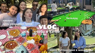 : VLOG:      , ,    , , 