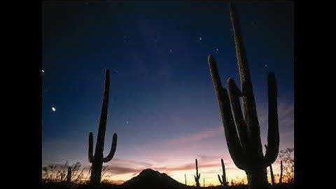 سورة الدخان بصوت القارئ أستاذ زامري