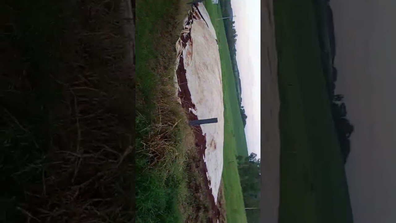 14 de janeiro de 2026