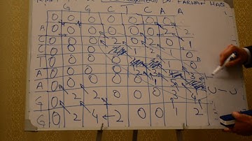 SmithWaterman Algorithm (Local Alignment) Part 3 Traceback Urdu Version