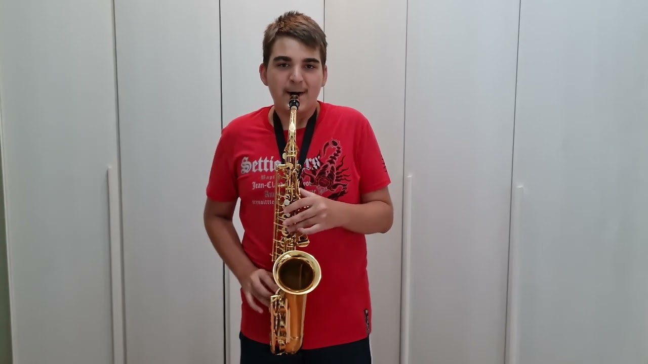 Ilie Lorenzo Stefan - Sarba lui Valiuku (baza proprie)