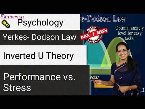 Yerkes Dodson 법칙 - 역 U 이론 | 성과 대 스트레스 | 심리학