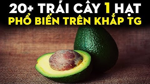 Facts - Hơn 20 Loại Trái Cây Có 1 Hạt Trên Khắp Thế Giới @TrungLunFYI