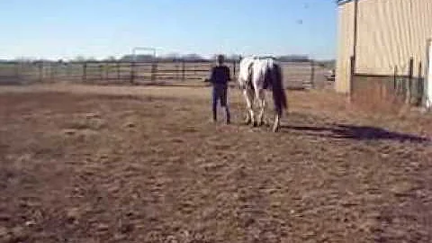 Copy of My Edited Video