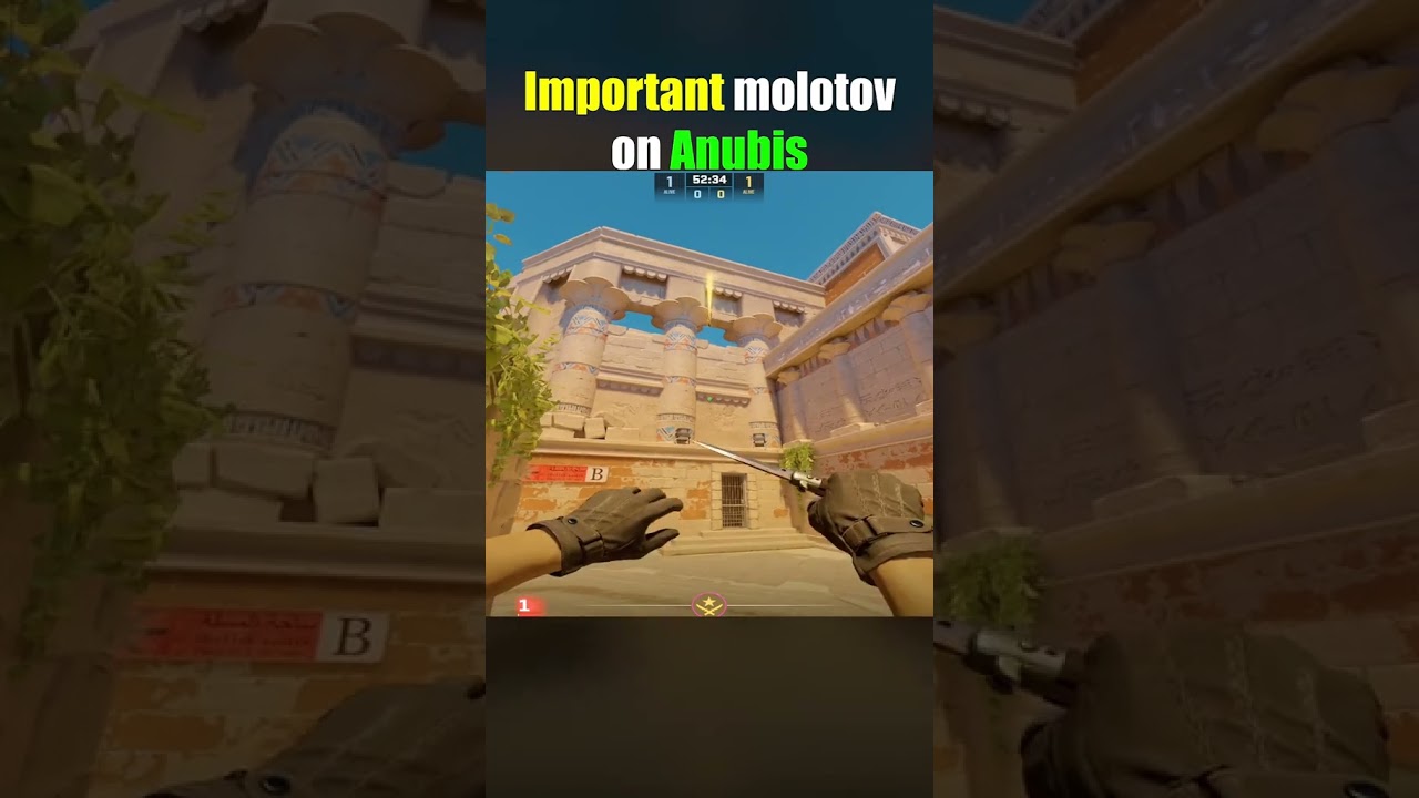 Anubis best molotov 