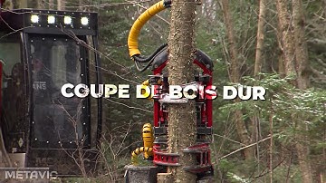 Tête multifonctionnelle S180 II Métavic